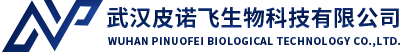 武汉九游国际生物科技有限公司