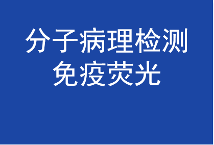 分子病理检测 -免疫荧光