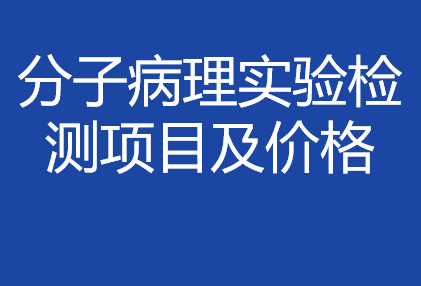 分子病理实验检测项目&价格