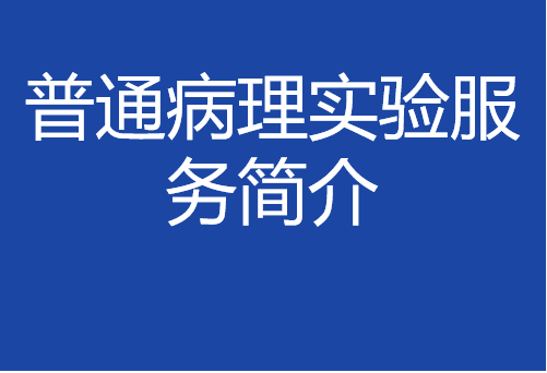 普通病理实验服务简介