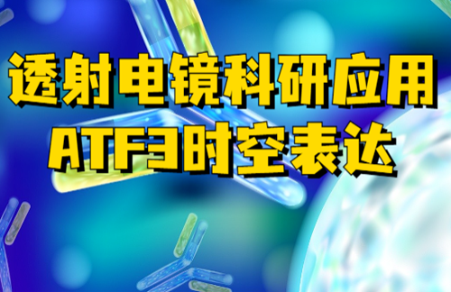 广州医科大学惊现ATF3科研文献，九游国际生物透射电镜神助攻