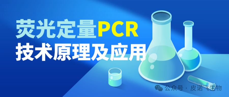 九游国际生物分子生物荧光定量PCR技术原理及应用