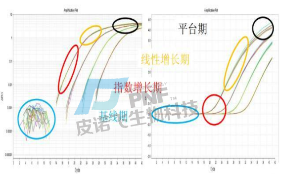 企业微信截图_17177496108078.png