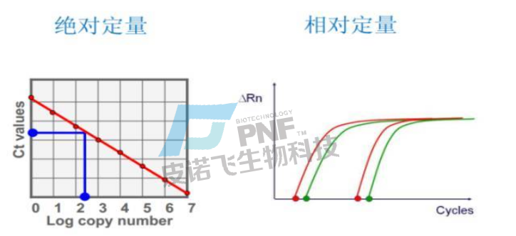 企业微信截图_17177496337642.png